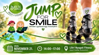 AMIGOS Charity Kangoo