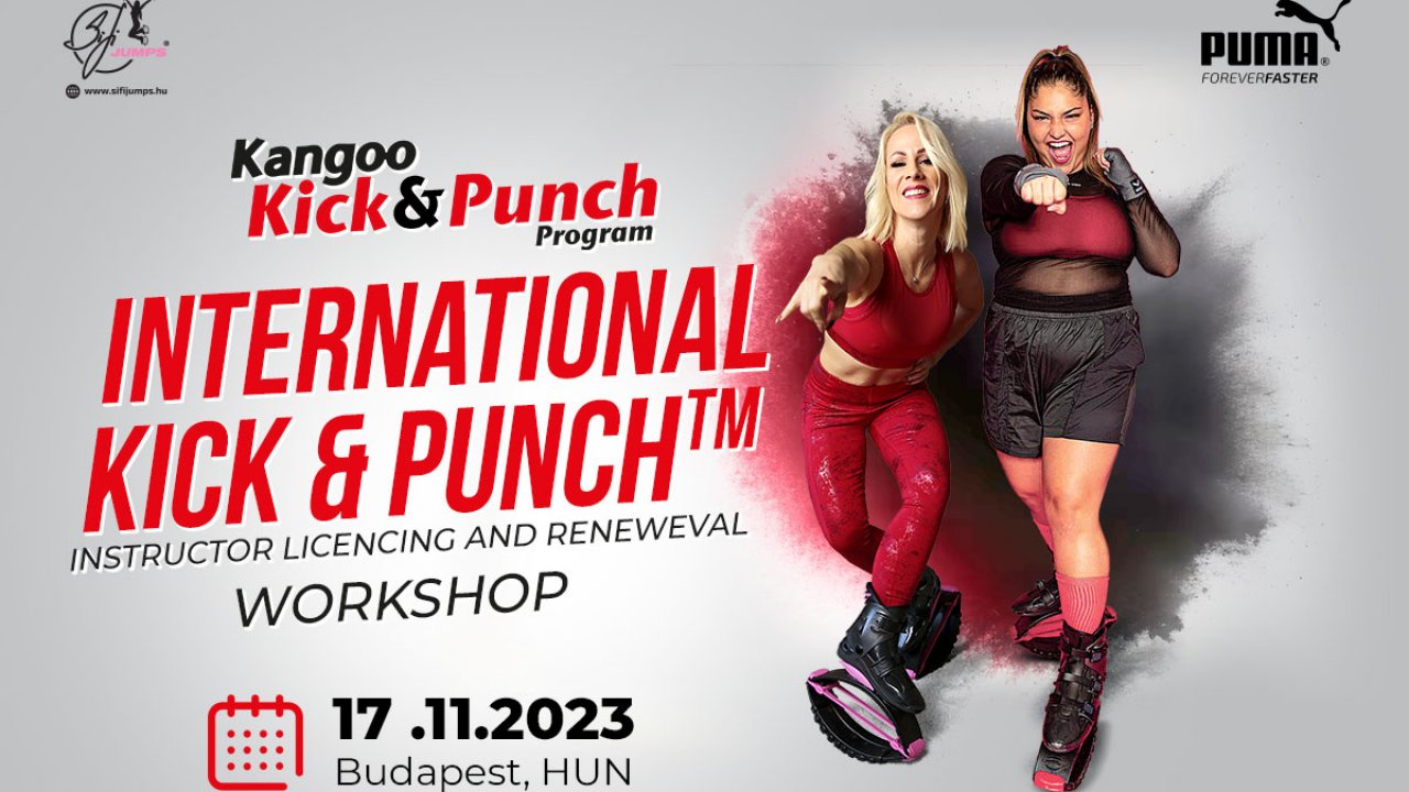 Kick and Punch Workshop