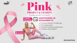 PINK Project & Charity